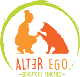 AlterEgo